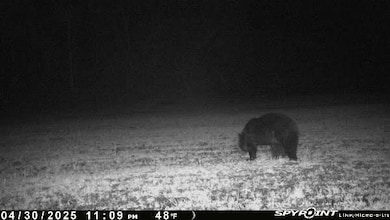 E21504 Karow Rd, Augusta, WI 54722 - photo 7