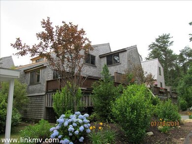 Rear Ext. and Deck