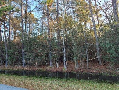 0 Weisinger unit 21165833, Magnolia, TX 77359 - photo 7