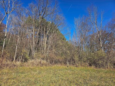 xxxx Braeburn Rd, Wilson Township, MN 55987 - photo 7