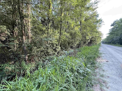 TBD Wolf Pit Bay Rd, Nichols, SC 29581 - photo 4