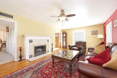Living room fireplace