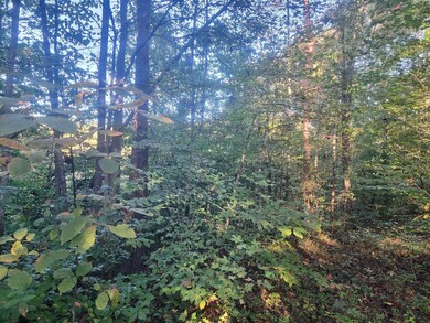 14853 Kentucky 196, Pointer, KY 42544 - photo 7