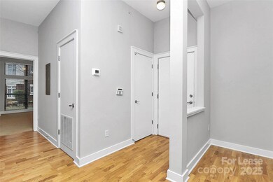712 N Davidson St unit 5, Charlotte, NC 28202 - photo 5