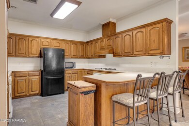 11612 Old Jeanerette Rd unit 1, Jeanerette, LA 70544 - photo 6