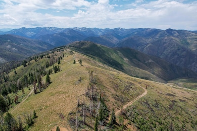 9261 Sheep Mountain Rd, Stanley, ID 83278 - photo 4