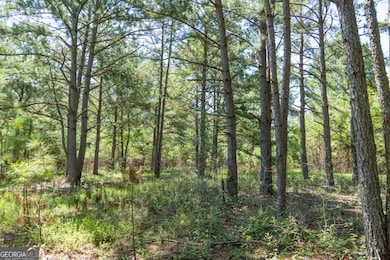 0 Plantation Rd, Warner Robins, GA 31093 - photo 6