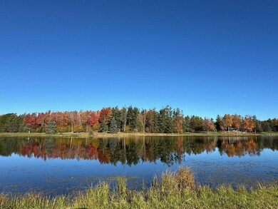 4393 Grossman Rd, Rogers City, MI 49779 - photo 5