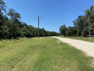 000 Sawmill Rd, Franklin, TX 77856 - photo 5