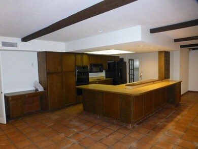 Kitchen View 1