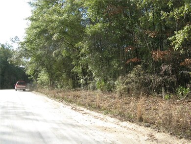 0 45th Rd unit G4837925, Branford, FL 32008 - photo 4