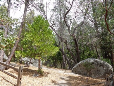 Cedar Glen