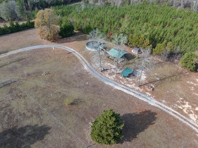 297 Ga Highway 240, Buena Vista, GA 31803 - photo 7