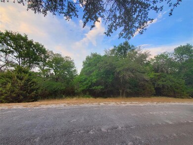 41065 Heartwood Cir, Whitney, TX 76692 - photo 3