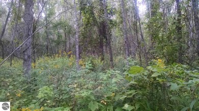 NKA Davis, Au Gres, MI 48703 - photo 5