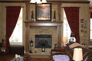 Living Room fireplace