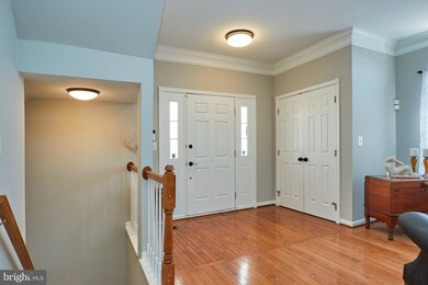 25499 Beresford Dr, Chantilly, VA 20152 - photo 5