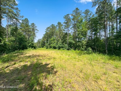0 Antioch Shiloh Rd, Pelahatchie, MS 39145 - photo 7