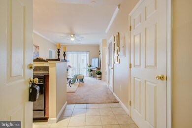 15614 Everglade Ln unit 404, Bowie, MD 20716 - photo 3