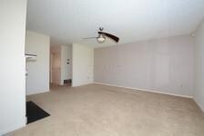 Shasta Ave 3