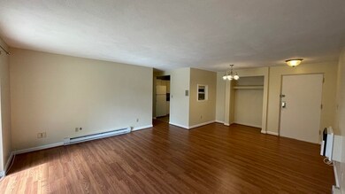 54 Fountain Ln unit 1, South Weymouth, MA 02190 - photo 4