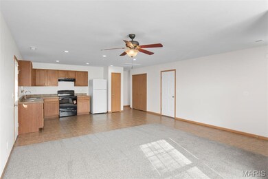 7 Bertha Ln, Union, MO 63084 - photo 5