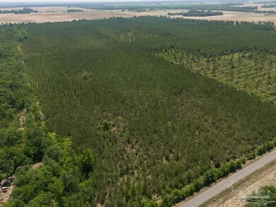 8 Bud Diamond Rd, Jay, FL 32565 - photo 3