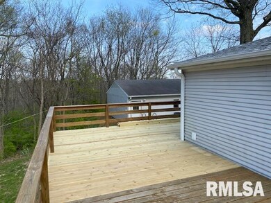 1456 Perbix Rd, Chapin, IL 62628 - photo 3