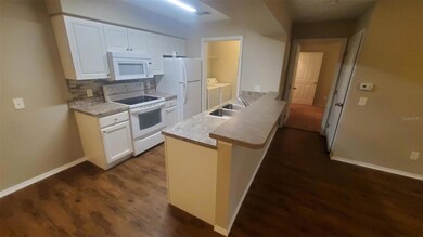 36243 Lake Chase Blvd unit 203, Zephyrhills, FL 33541 - photo 6