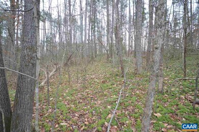 Lot C Lamm Rd, Monroe, VA 22968 - photo 4