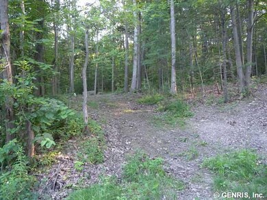 Land/Lot. From the parking area there is a drivewa