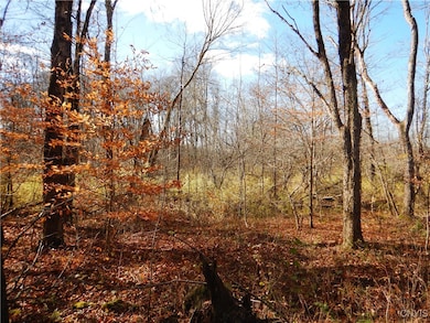 0 New York 220, Oxford, NY 13830 - photo 6