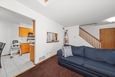 4343 W Emerald Way St, Alsip, IL 60803 - photo 7