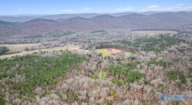 8355 Duck Springs Rd, Attalla, AL 35954 - photo 2