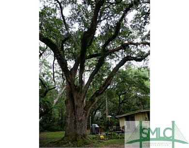 Yard/Garden. Back yard lined with huge Live Oaks