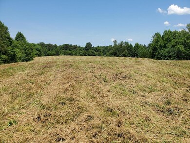 7A Coles Chapel Rd, Sparta, TN 38583 - photo 3