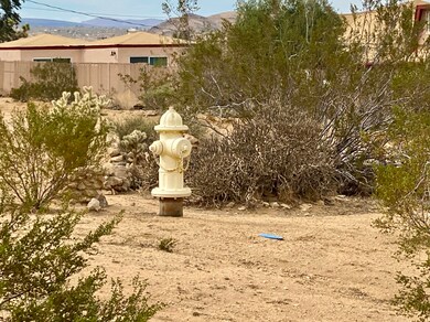 6925 Sunnyhill Rd, Joshua Tree, CA 92252 - photo 7
