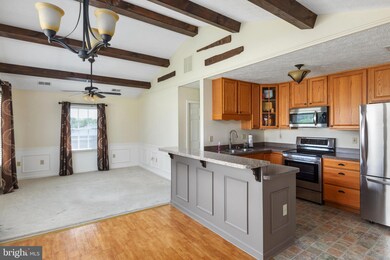 14 A1 Tyler Cir, Strasburg, VA 22657 - photo 7