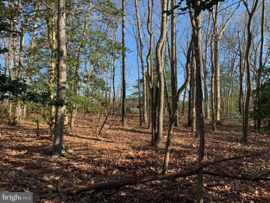 0 Willow Grove Rd unit NJGL2027114, Monroeville, NJ 08343 - photo 7