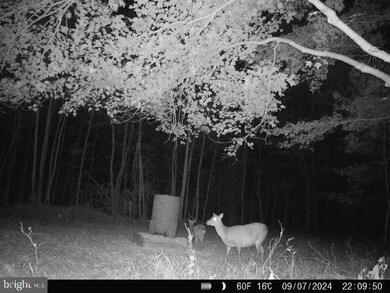 0 Aireys Rd unit MDDO2008728, Cambridge, MD 21613 - photo 3