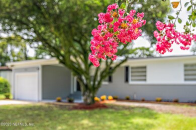 6574 Larne Ave, Jacksonville, FL 32244 - photo 4