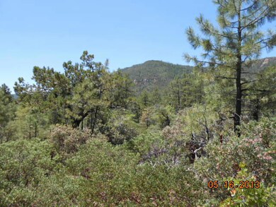 102 Sundown Ln, Pine, AZ 85544 - photo 2