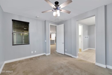 Palladium20240919_012