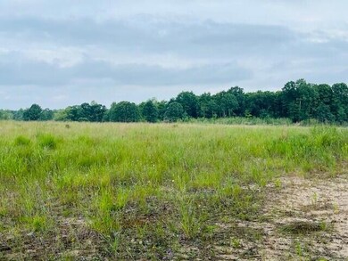 264 S 152nd Ave unit 20 Acres Vacant La, Shelby, MI 49455 - photo 7