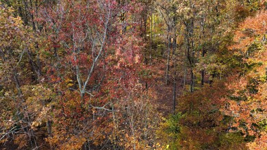 dji_fly_20241028_152556_440_173014402326