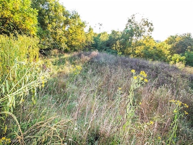 8 acres Whiskey Run Rd, Quaker City, OH 43773 - photo 7