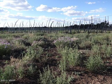 0 Tbd unit 304-11-016E 205653, White Mountain Lake, AZ 85912 - photo 4