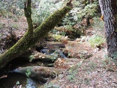 2nd Creek cascading down to join the first