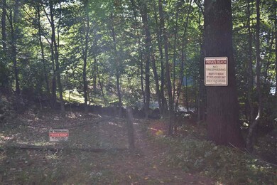 Map 33 Lot 68 Dillion Dr E, Strafford, NH 03884 - photo 2