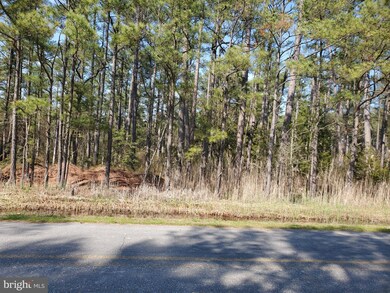 4908 David Greene Rd, Cambridge, MD 21613 - photo 2